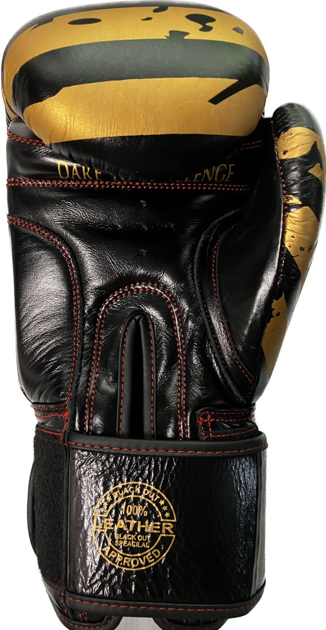 12oz Boxing Gloves