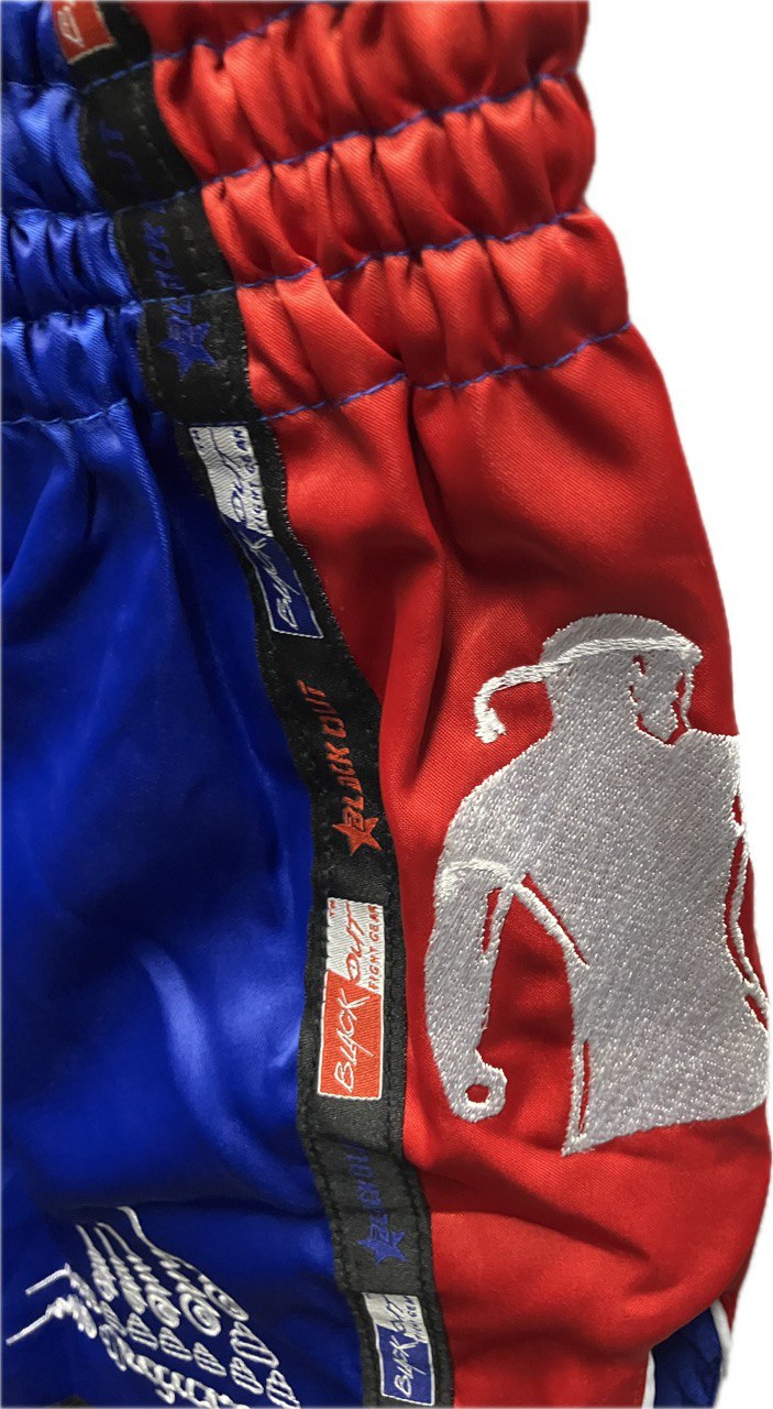 Muay Thai Shorts