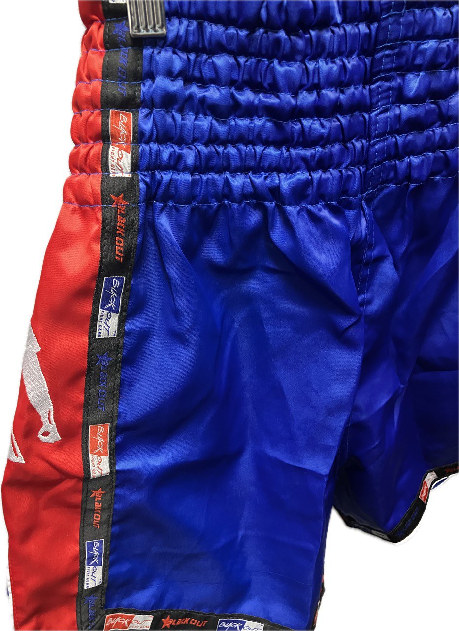 Muay Thai Shorts