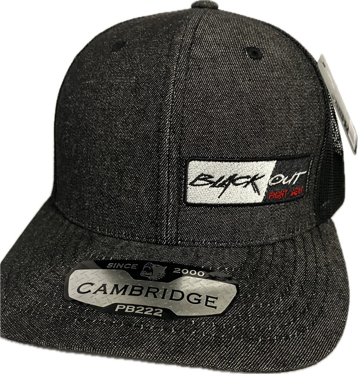 Gray and Black Snapback Hat